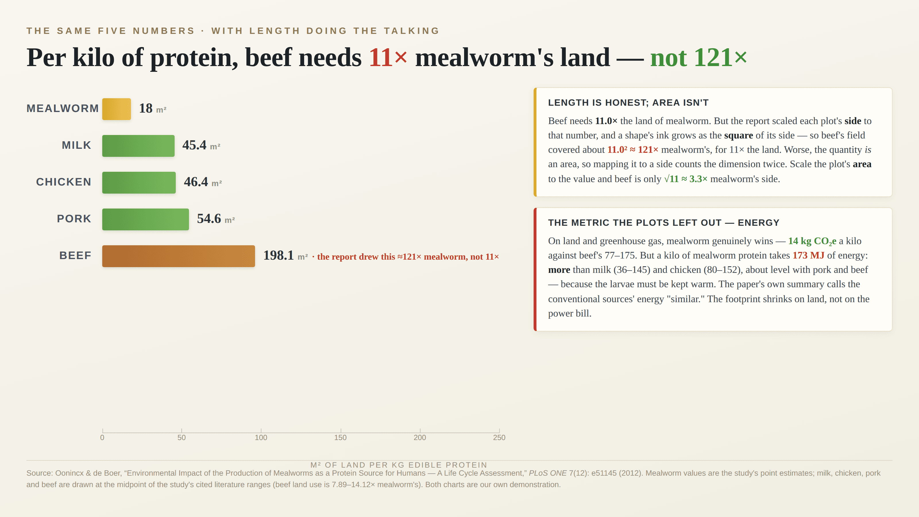 The same five numbers on a light background as horizontal bars on a zero-based 0–250 m² axis, kicked “The same five numbers · with length doing the talking” and titled “Per kilo of protein, beef needs 11× mealworm’s land — not 121×”: mealworm 18 m² in gold, milk 45.4, chicken 46.4 and pork 54.6 in green, and beef 198.1 in brown, annotated in red “the report drew this ≈121× mealworm, not 11×”. A card headed “Length is honest; area isn’t” explains that scaling a square’s side to the value grows its ink as the square (11.0² ≈ 121×), that the quantity is itself an area so mapping it to a side double-counts, and that scaling area to the value would leave beef only √11 ≈ 3.3× mealworm’s side. A second card, “The metric the plots left out — energy”, notes that mealworm wins clearly on land and greenhouse gas (14 kg CO₂e a kilo versus beef’s 77–175) but its 173 MJ of energy per kilo is higher than milk (36–145) and chicken (80–152) and about level with pork and beef, because the larvae must be kept warm. A footnote credits Oonincx & de Boer’s 2012 life-cycle assessment in PLoS ONE and says both charts are our own demonstration.