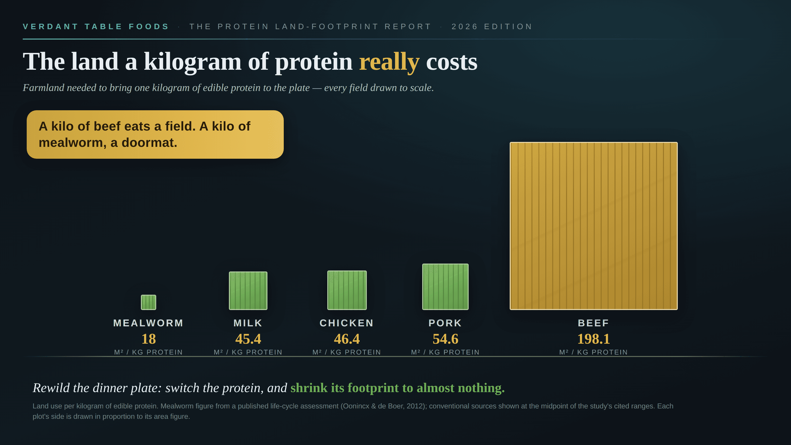 Dark sustainability-report-style infographic titled “The land a kilogram of protein really costs”, masthead “Verdant Table Foods · The Protein Land-Footprint Report · 2026 edition”, showing five squares of green farmland standing on a ground line, each square scaled in both height and width to the land its protein needs per kilogram of edible protein: a tiny mealworm plot at 18 m², then milk 45.4, chicken 46.4 and pork 54.6 stepping up, and a huge gold beef plot at 198.1 m² that towers over all of them. A gold pill reads “A kilo of beef eats a field. A kilo of mealworm, a doormat.”, and a kicker urges readers to “rewild the dinner plate: switch the protein, and shrink its footprint to almost nothing.” Every value is printed honestly beneath its plot; the squares’ areas, not the numbers, do the exaggerating.